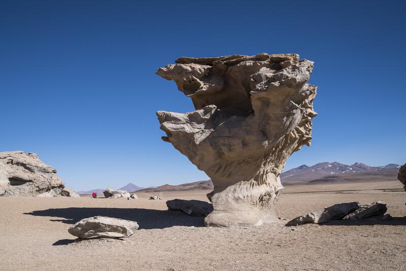 Südlich dieser Lagunen taucht der Steinbaum (Arbol der Piedra) auf...