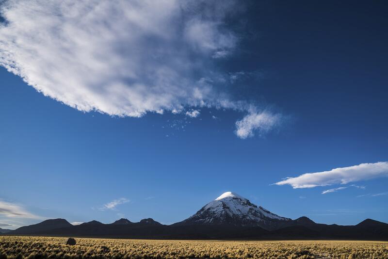 ...Sajama...