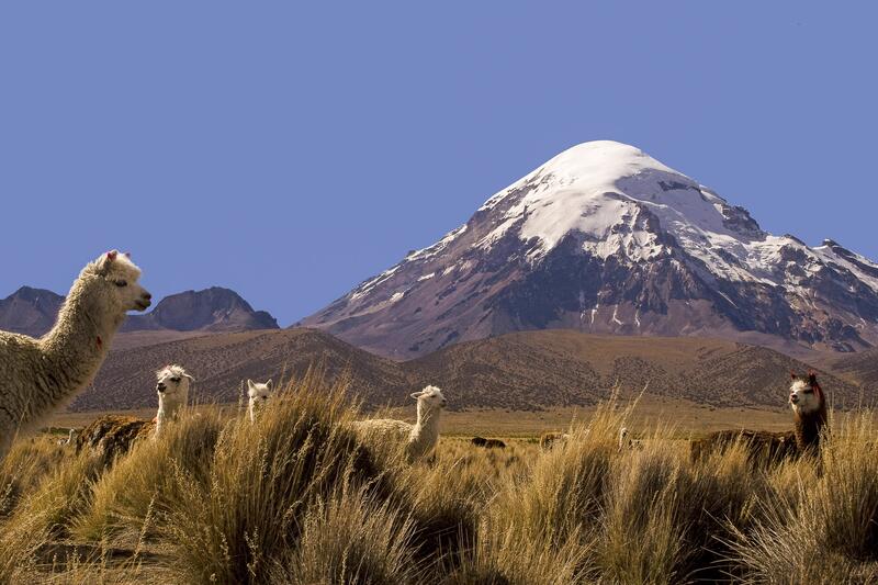 Vom Dorf aus sieht man den höchsten Bolivianer, den 6542m hohen Nevado Sajama.