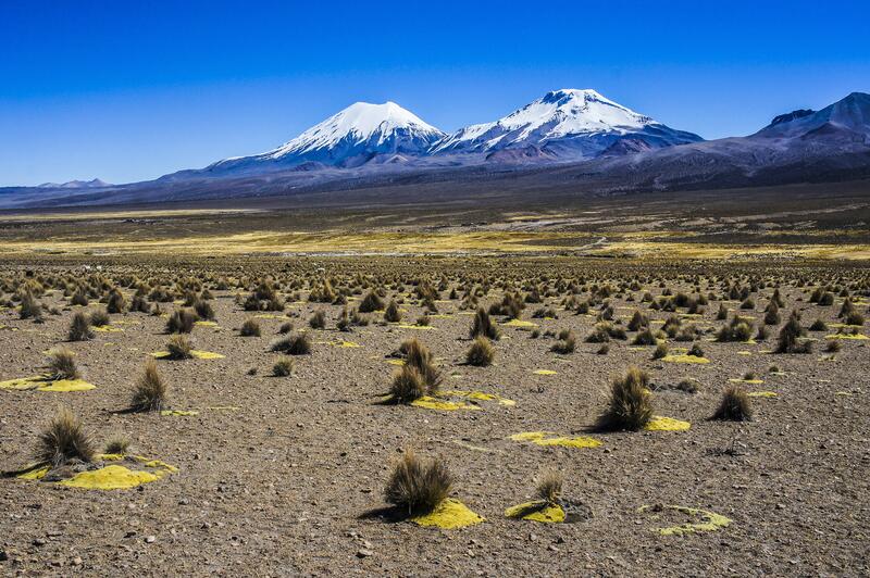 Weitere 6000er befinden sich in der Region Sajama...