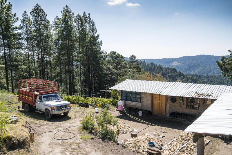 Unterwegs in Mexiko