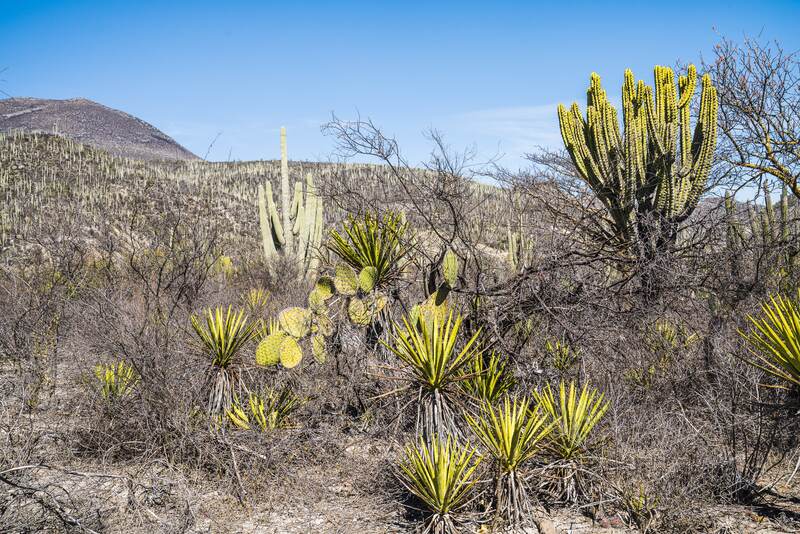Unterwegs in Mexiko